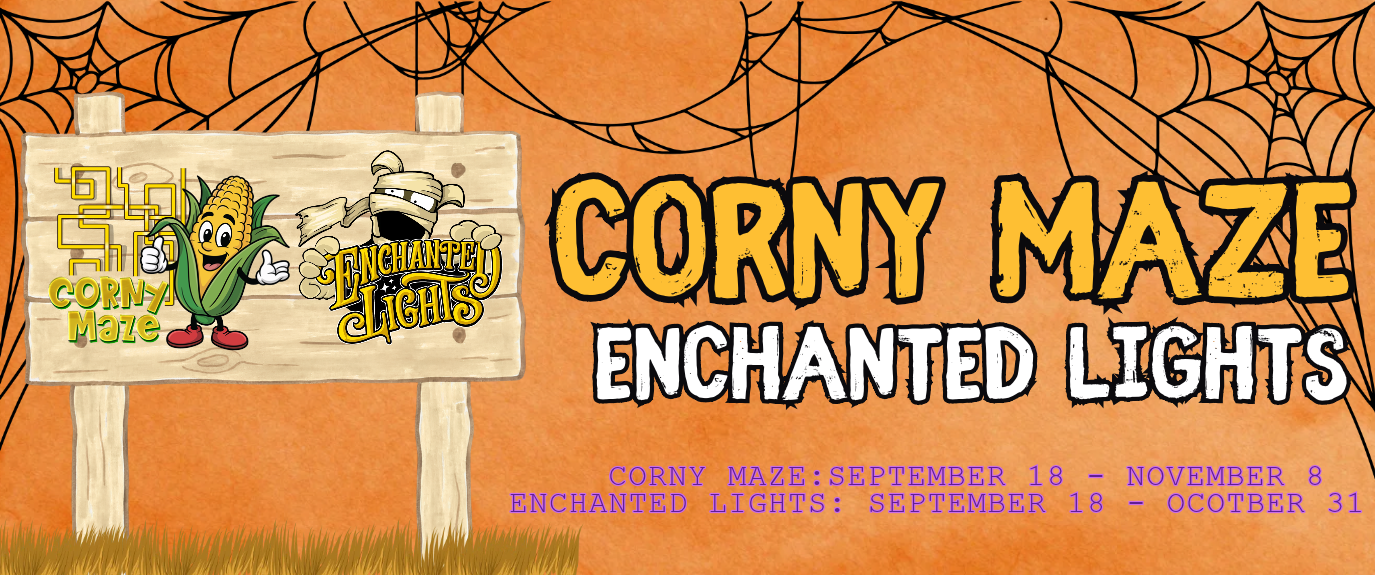 Corny Maze